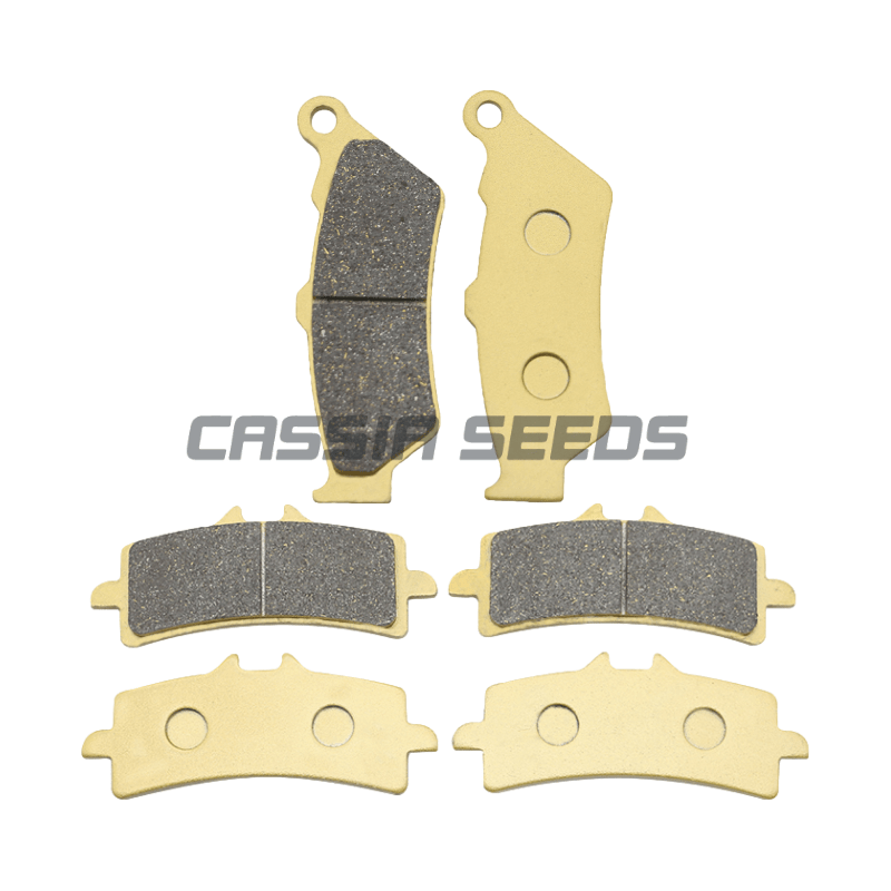 DUCATI Diavel Carbon AMG Dark  - Carbon Ceramic Motorcycle Brake Rotor 리뷰 및 가격